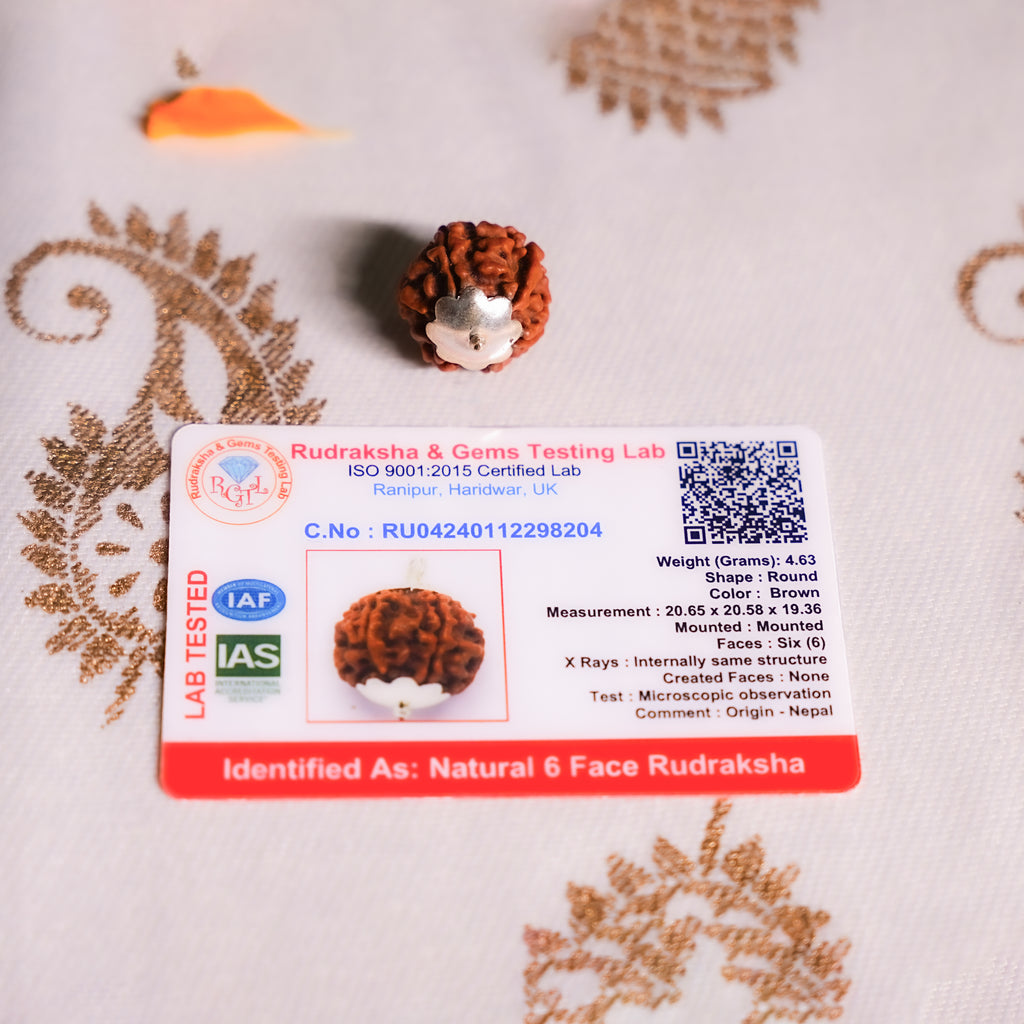 Rudraksha bead with a label from Rudraksha & Gems Testing Lab on a decorative background
