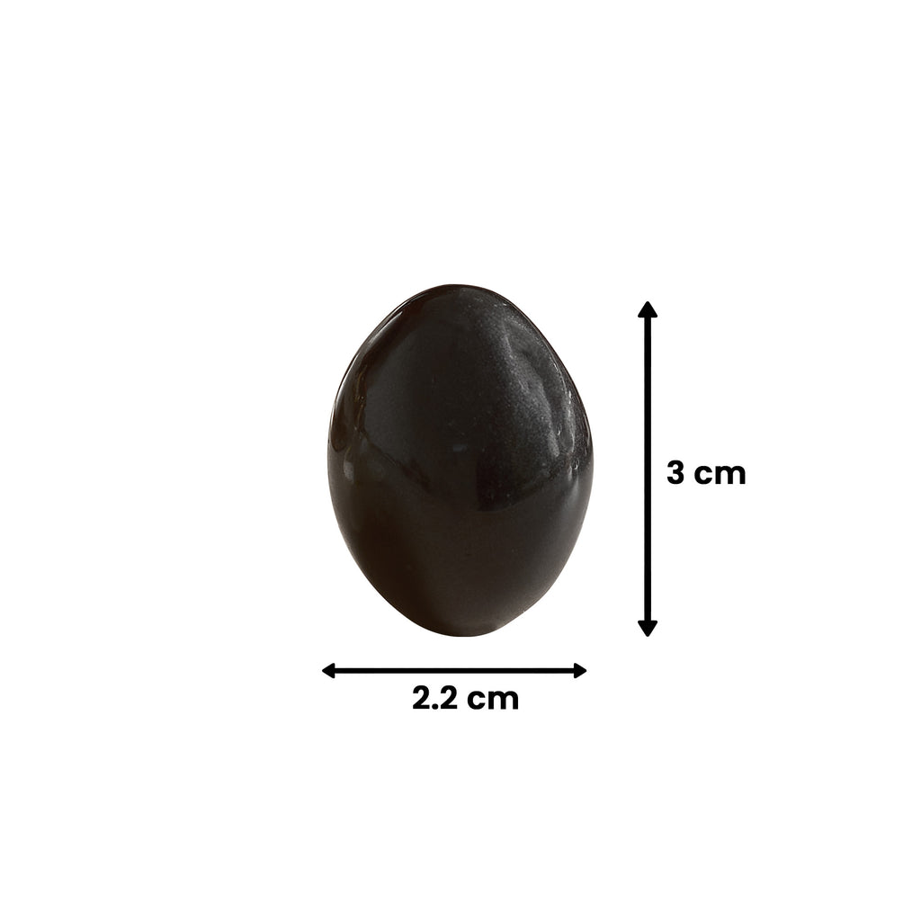 Black Shaligram Stone