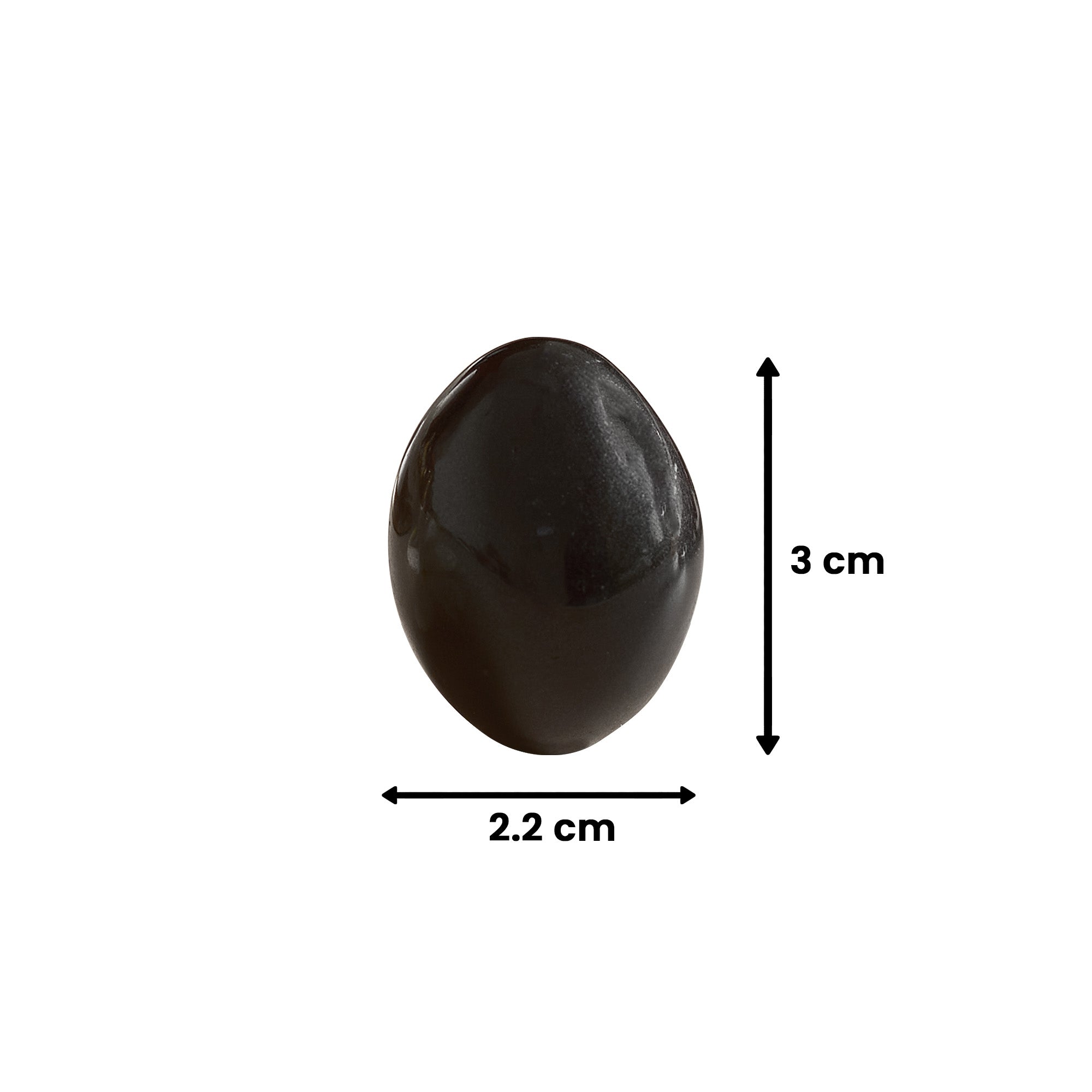 Black Shaligram Stone