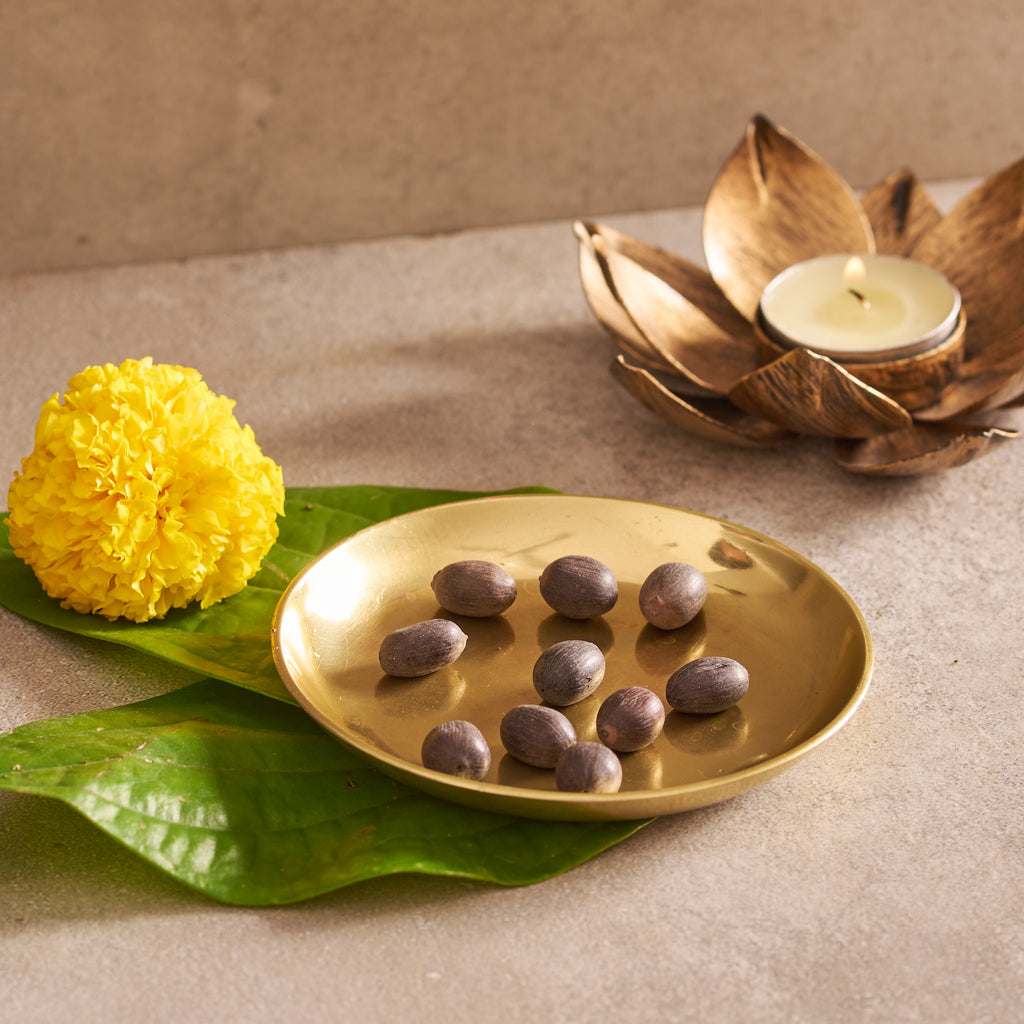 Kamalakshi Seeds for Pooja and Meditation (10 pcs).