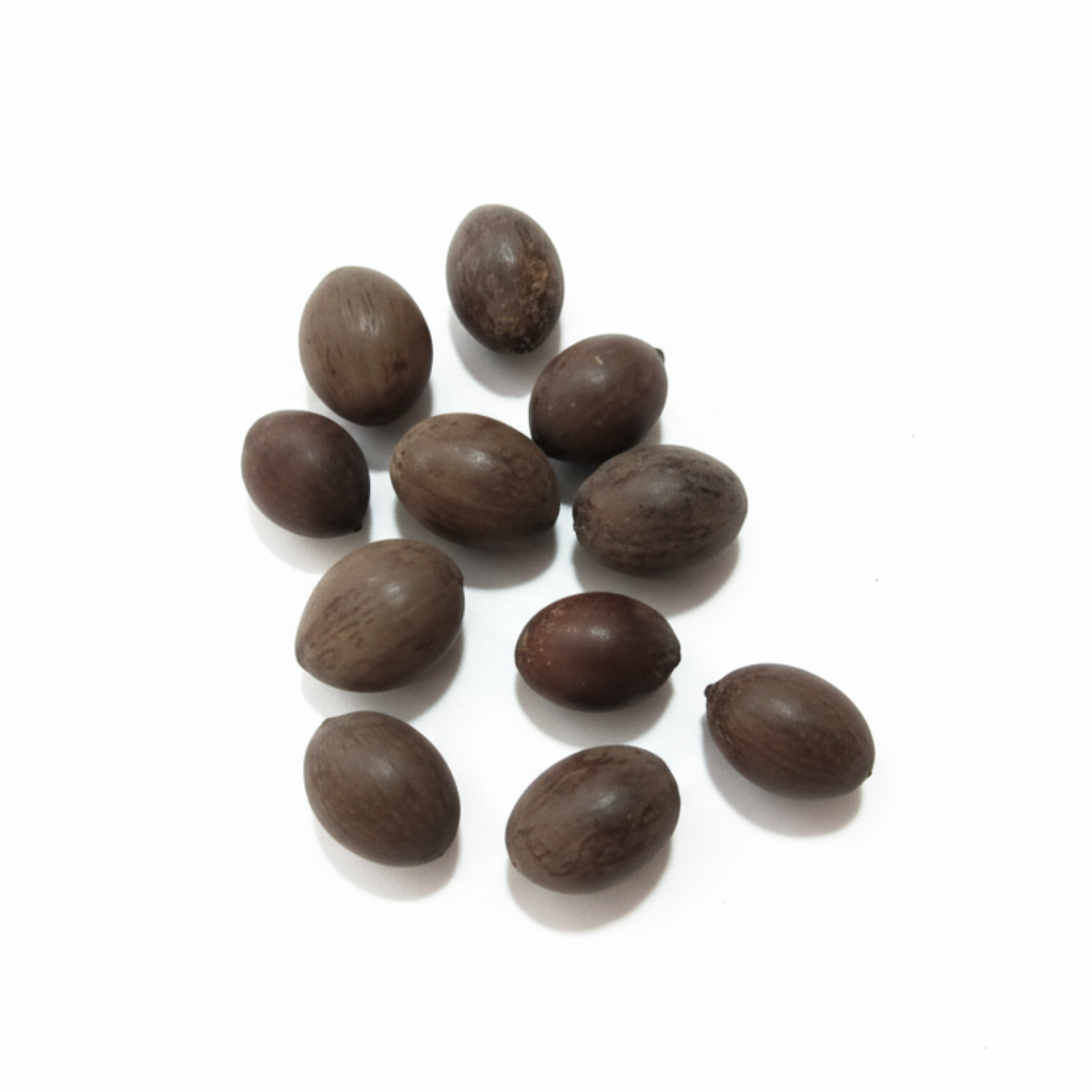 Kamalakshi Seeds for Pooja and Meditation (10 pcs).