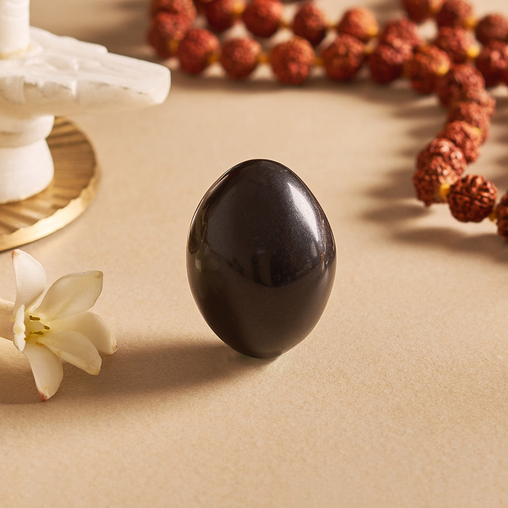 Black Shaligram Stone