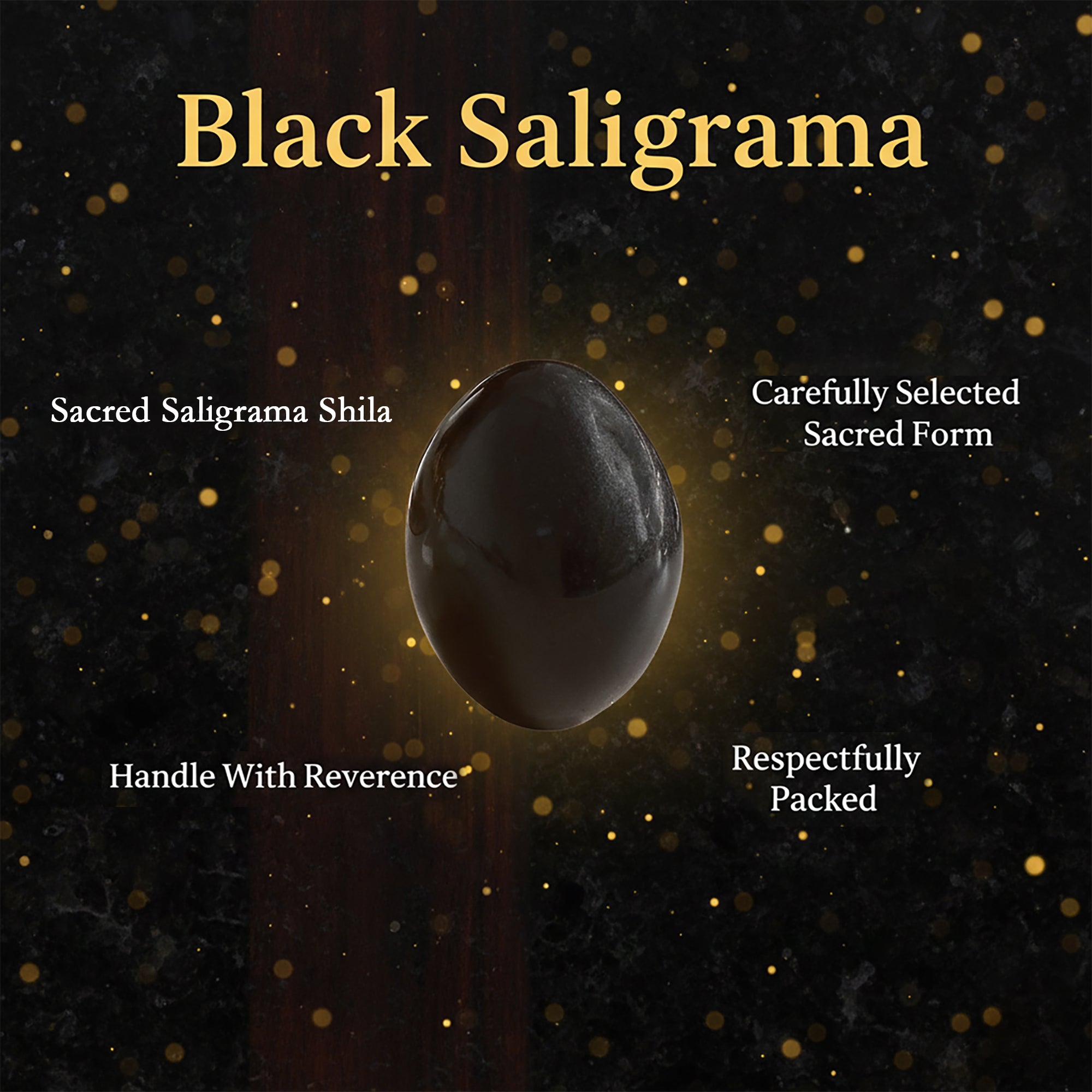 Black Shaligram Stone