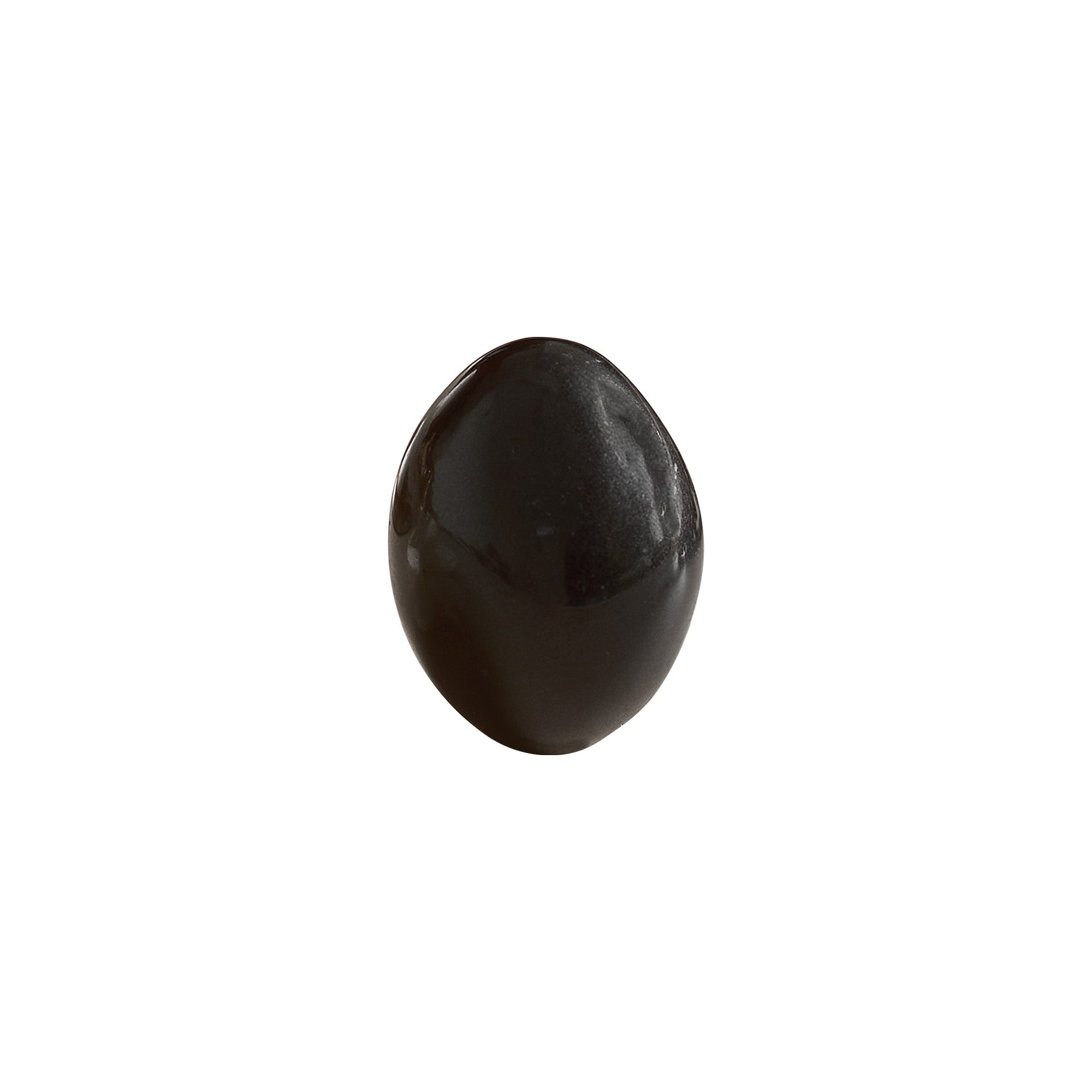 Black Shaligram Stone