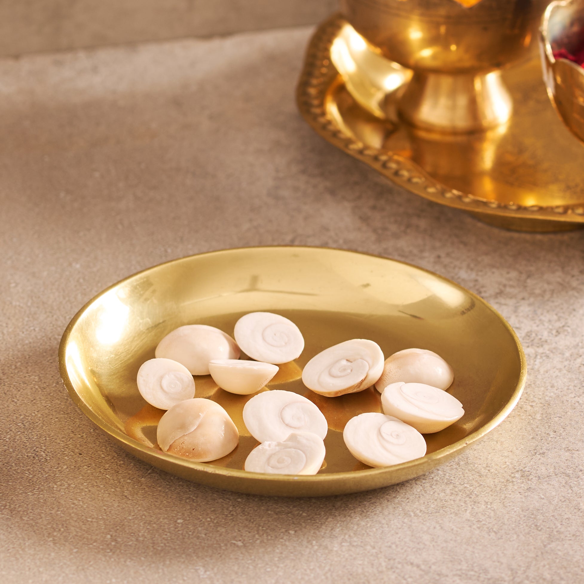 Gold plate with white seashells on a beige surface