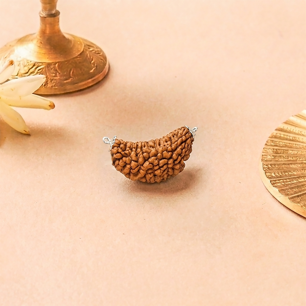 1 Mukhi Rudraksha Bead