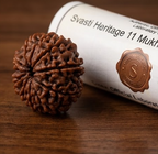 11 Mukhi Certified Rudraksha (Nepali Origin)