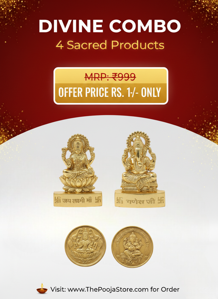 Brass Ganesh and Lakshmi Idols and coins combo