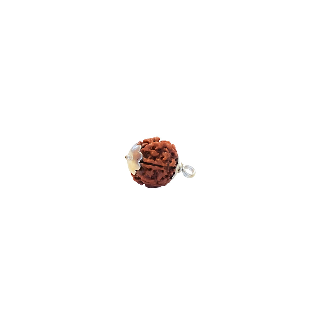 Brown rudraksha bead with silver accents on a white background