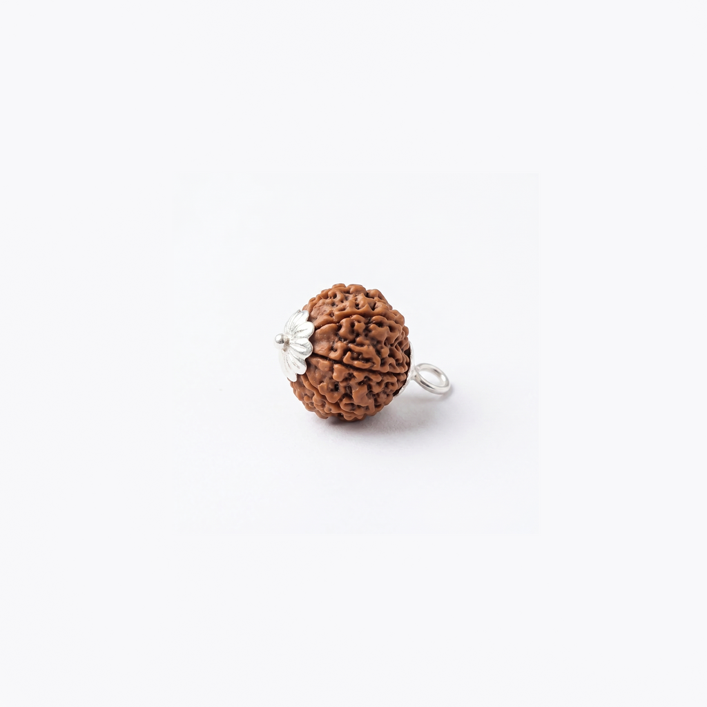 Certified 10 Mukhi Rudraksha Bead.