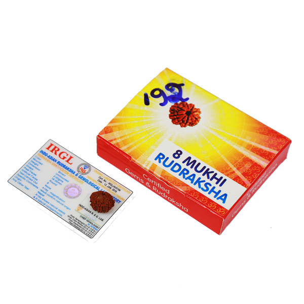 8 Mukhi Certified Rudraksha (Nepali Origin)