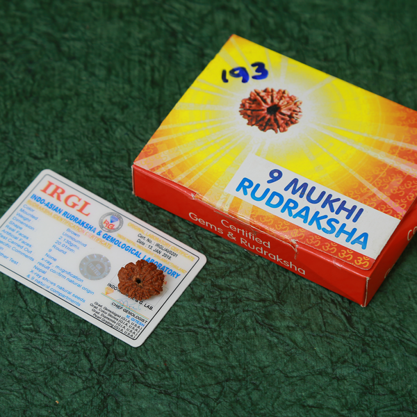 9 Mukhi Certified Rudraksha (Nepali Origin)