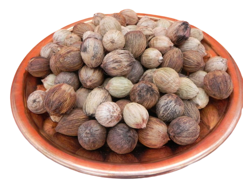 108 Laghu Coconut / Laghu Nariyal for Lakshmi ashtotram