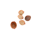 108 Laghu Coconut / Laghu Nariyal for Lakshmi ashtotram