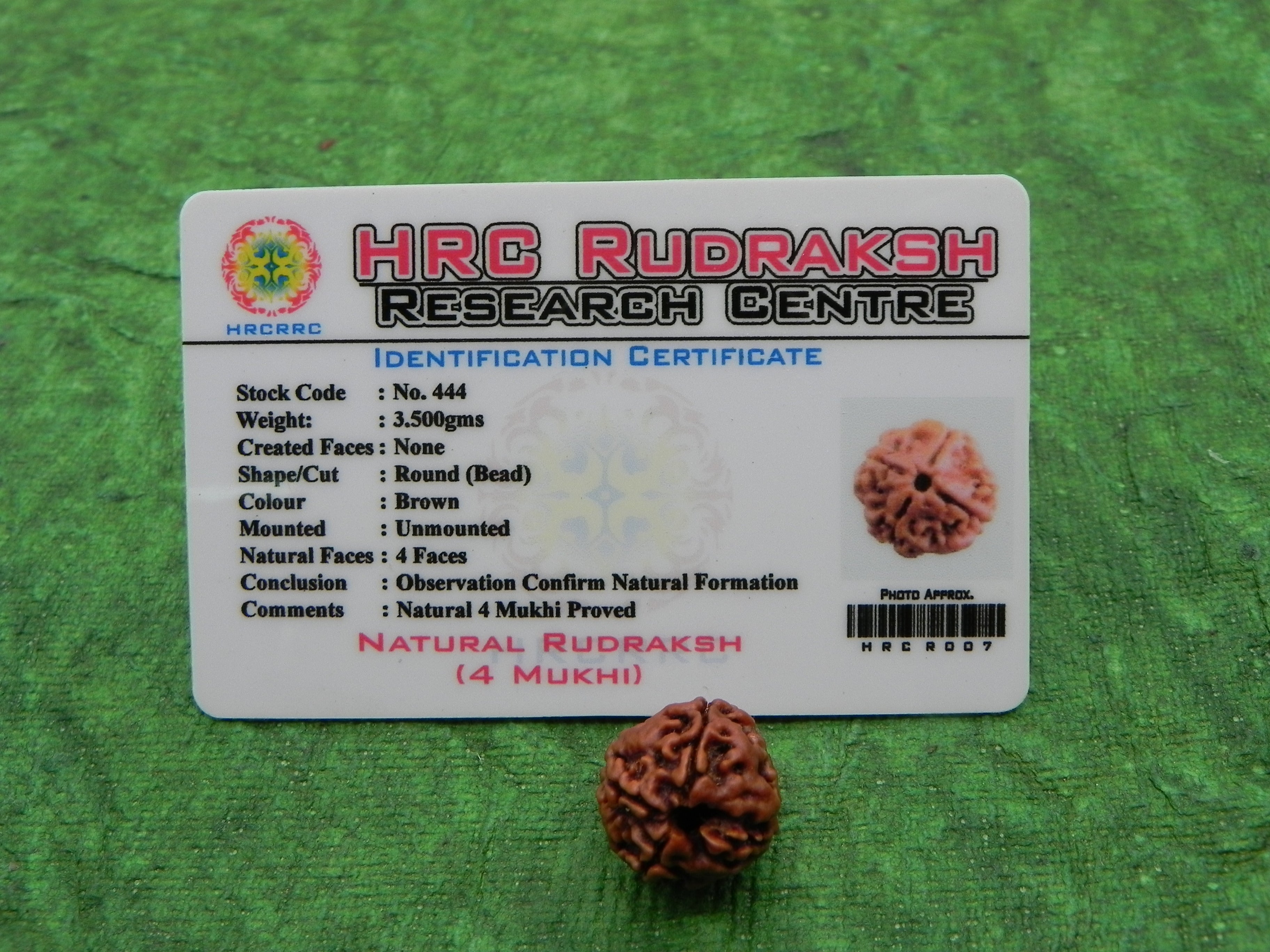 4 Mukhi Certified Rudraksha (Nepali Origin)