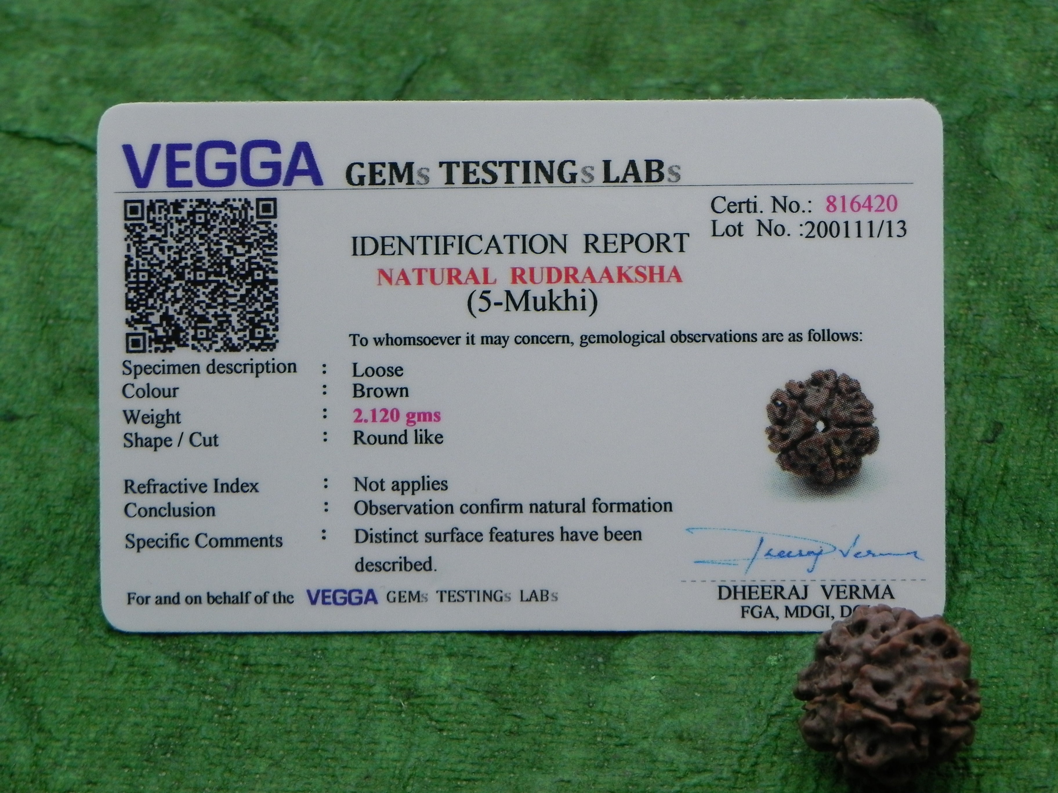 5 Mukhi Certified Rudraksha (Nepali Origin)