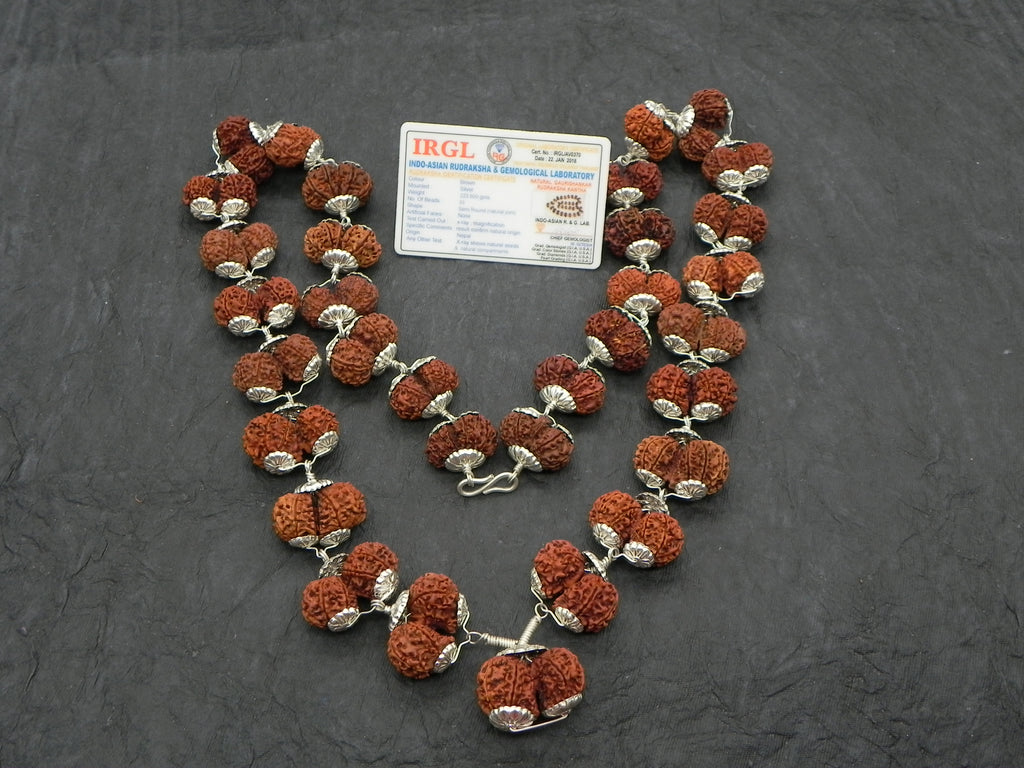 Pure Silver Double  Rudhrakshi Mala [ 33 Beads ]
