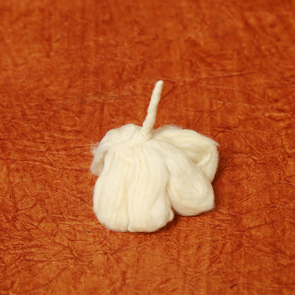 365 Bathi for Karthika Purnima