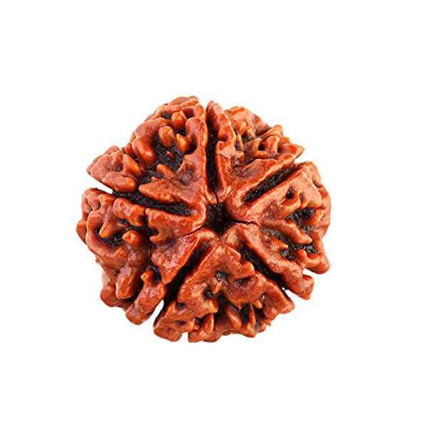 Healthy and Balanced Mind Combo